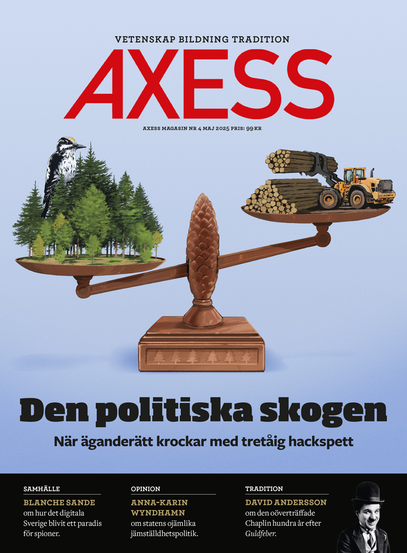 Axess NR 4 2025